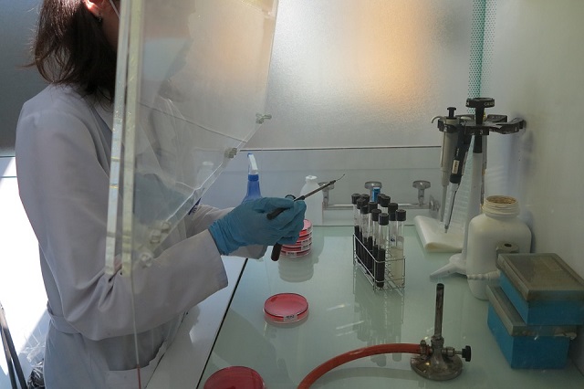 Новосибирские учёные разрабатывают новые методы борьбы с вирусами 
