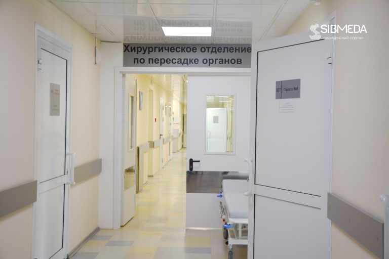 Пересадка органов в Новосибирске: итоги и перспективы 