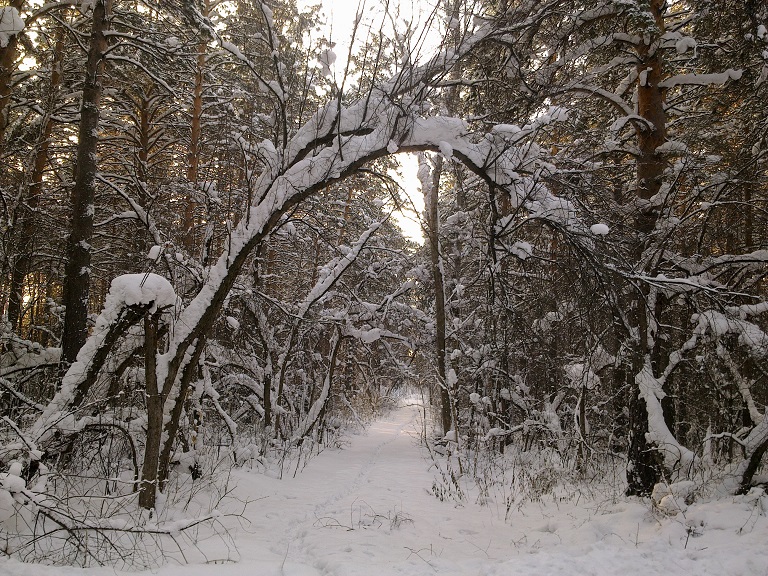Эксперты составили ТОП-5 самых популярных мест в России для зимнего оздоровительного отдыха