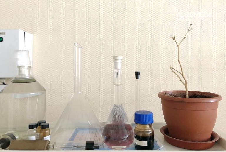 Сибирские учёные разработали нетоксичный аналог формалина, не имеющий запаха