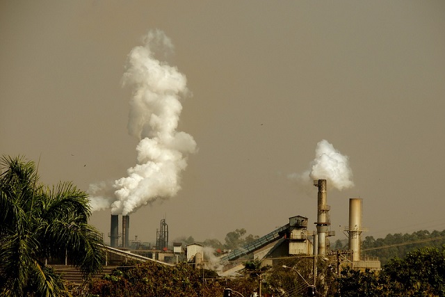 ВОЗ назвала основные причины смерти, связанные с окружающей средой
