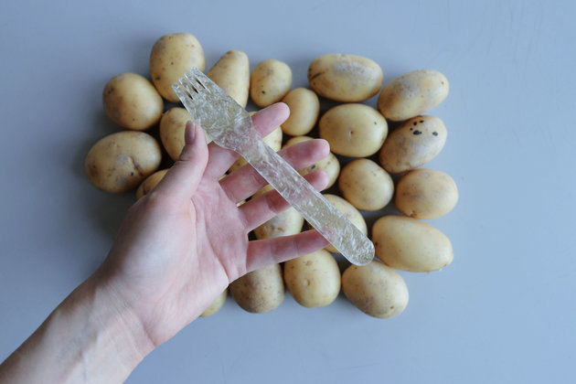 Пластик из картофеля: «ноу-хау» для решения проблем экологии