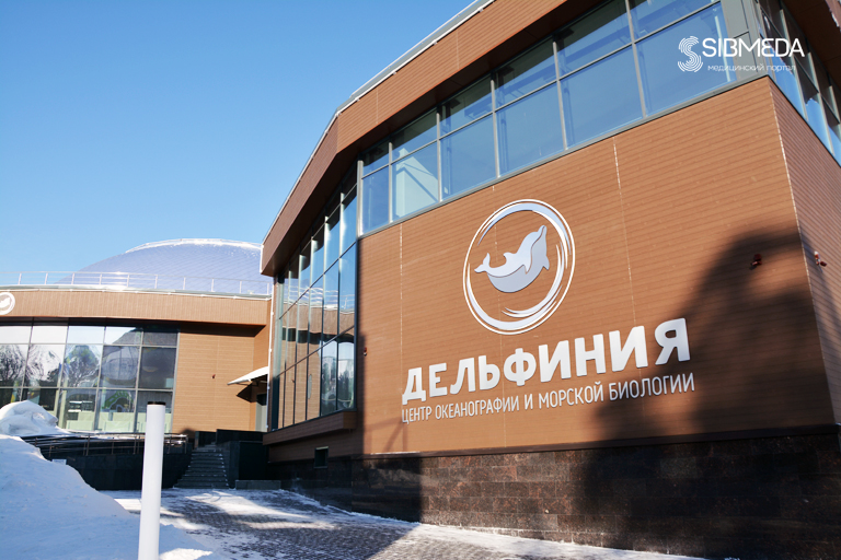 В Новосибирске открылся Центр плавания с дельфинами