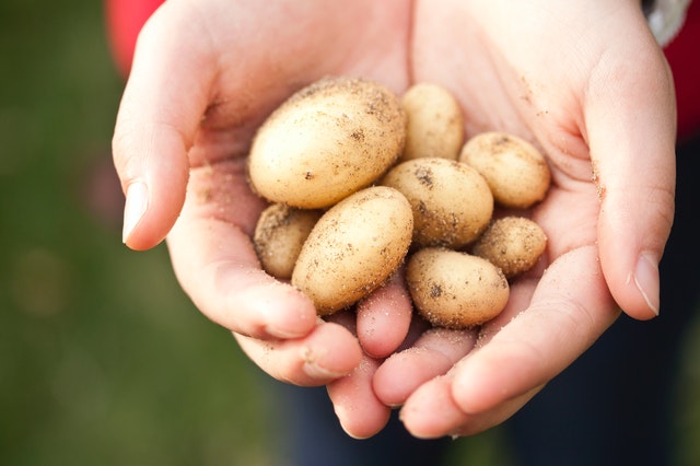 Диетолог назвала полезные и вредные блюда из картошки