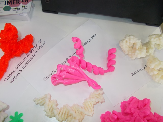 Новосибирцам показали вирус Эбола в 3D-формате