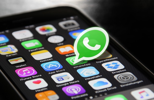 WhatsApp усовершенствовал функции для более комфортного общения в период пандемии