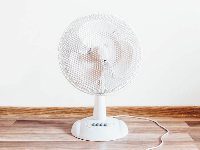 Использовать вентиляторы в жару – опасно