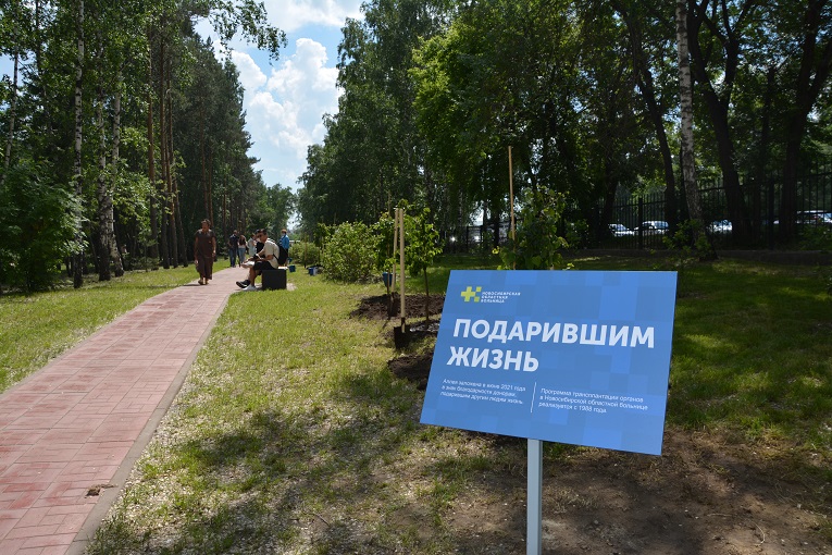 В Новосибирске появилась аллея «Подарившим жизнь»