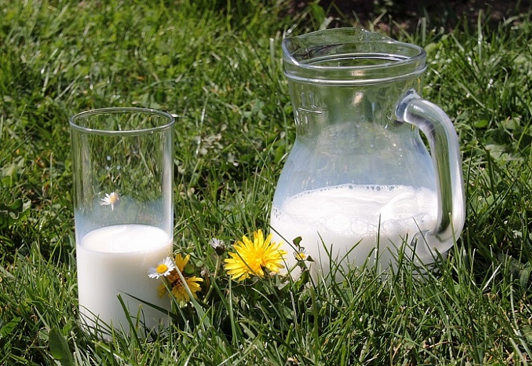 Как выбрать безопасное и вкусное молоко?