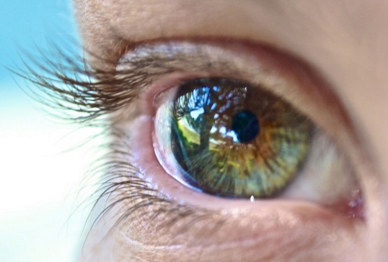 Пересадка глаз может стать возможной в ближайшие десять лет