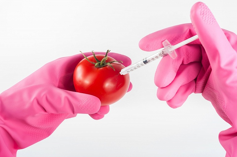 Производителей в России обязали маркировать продукты с ГМО 