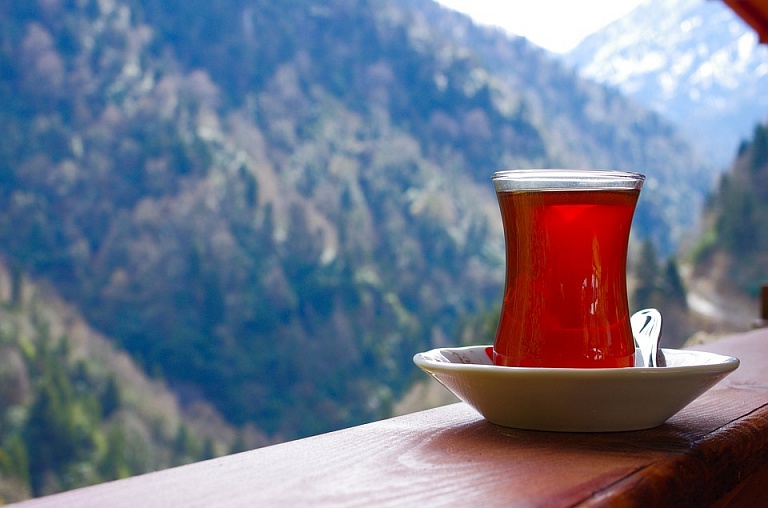 Чай из ройбуша: топ-5 полезных свойств