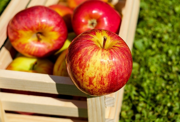 Как выбрать хорошие яблоки?