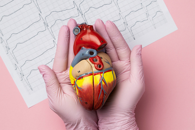 Первый в мире искусственный желудочек для сердца создан российскими учёными