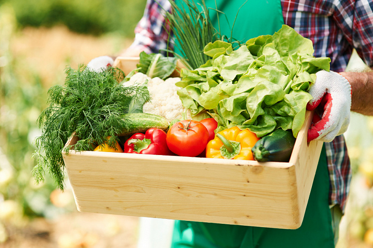 Нутрициолог ответила на вопрос об опасности нитратов в овощах и фруктах
