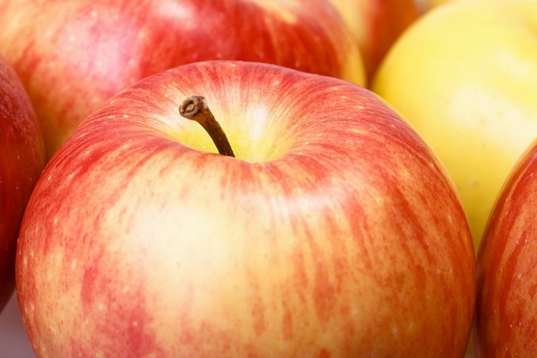 Канадские учёные вырастили ухо из яблока