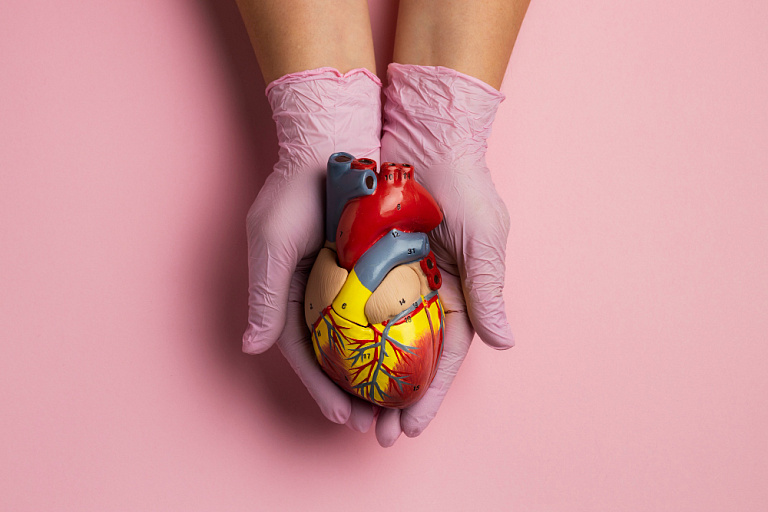 Назван новый фактор риска заболеваний сердца